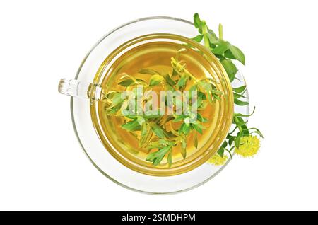 Tisane de guérison dans la coupe en verre avec des fleurs le rosea de Rhodiola est isolé sur un fond blanc avec un haut Banque D'Images