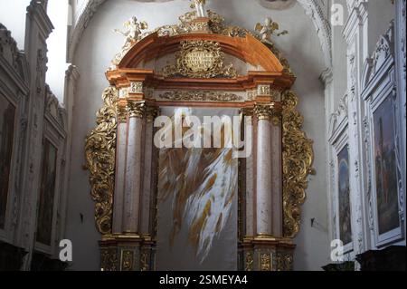 Église de Ignace est une grande église catholique romaine du XIXe siècle à Sydney, en République tchèque. La façade complexe comporte des colonnes de grès et Ar Banque D'Images