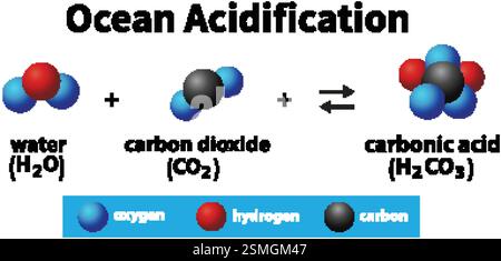 Illustration de l'eau, du dioxyde de carbone et de l'acide carbonique Illustration de Vecteur