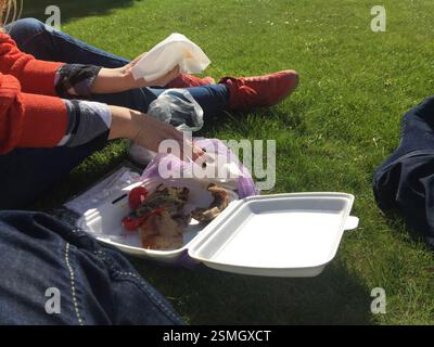 Les gens pique-niquent sur l'herbe en République tchèque. Mains tenant de la nourriture et des serviettes. Nourriture dans un récipient blanc sur l'herbe. Savourer un repas en plein air ensemble en C. Banque D'Images