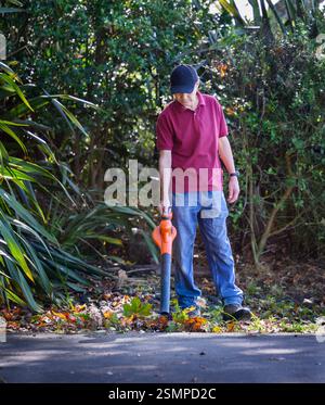 Homme nettoyant les feuilles d'automne tombées à l'aide d'un souffleur de feuilles le long de l'allée. Banque D'Images