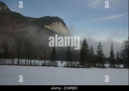 Un champ enneigé avec des arbres à feuilles persistantes s'étend devant des montagnes enneigées au loin. Allemagne, Munich. Ce paisible paysage hivernal co Banque D'Images