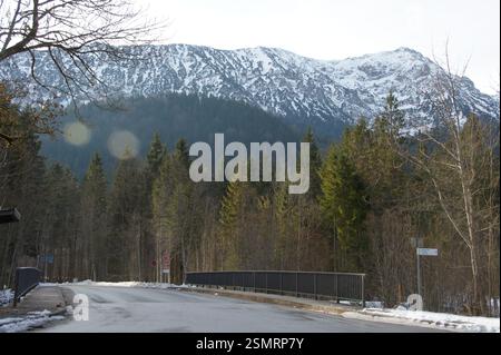 Une forêt dense à feuilles persistantes s'étend au premier plan, avec un sommet de montagne enneigé s'élevant majestueusement au loin. Cet hiver paisible atterrit Banque D'Images