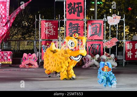 Les chiens robots, avec des décorations en forme de tête de lion, dansent aux côtés de danseurs de lion traditionnels lors d'une célébration du Festival des lanternes dans la ville de Suzhou, Banque D'Images