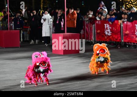 Les chiens robots, avec des décorations en forme de tête de lion, dansent aux côtés de danseurs de lion traditionnels lors d'une célébration du Festival des lanternes dans la ville de Suzhou, Banque D'Images