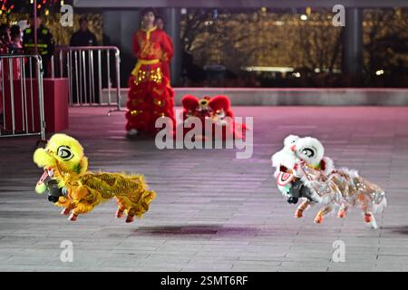 Les chiens robots, avec des décorations en forme de tête de lion, dansent aux côtés de danseurs de lion traditionnels lors d'une célébration du Festival des lanternes dans la ville de Suzhou, Banque D'Images