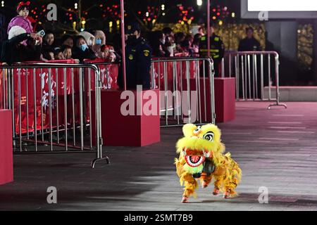Les chiens robots, avec des décorations en forme de tête de lion, dansent aux côtés de danseurs de lion traditionnels lors d'une célébration du Festival des lanternes dans la ville de Suzhou, Banque D'Images