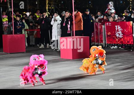 Les chiens robots, avec des décorations en forme de tête de lion, dansent aux côtés de danseurs de lion traditionnels lors d'une célébration du Festival des lanternes dans la ville de Suzhou, Banque D'Images