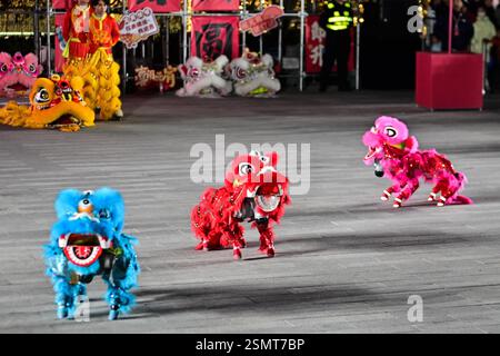 Les chiens robots, avec des décorations en forme de tête de lion, dansent aux côtés de danseurs de lion traditionnels lors d'une célébration du Festival des lanternes dans la ville de Suzhou, Banque D'Images