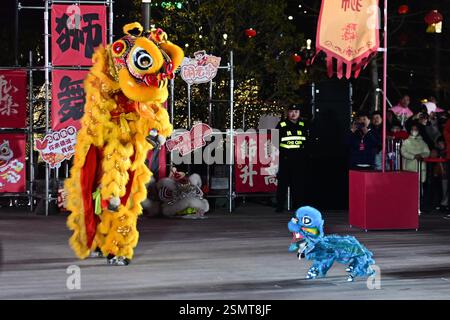 Les chiens robots, avec des décorations en forme de tête de lion, dansent aux côtés de danseurs de lion traditionnels lors d'une célébration du Festival des lanternes dans la ville de Suzhou, Banque D'Images