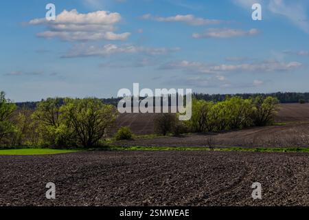 Un paysage vibrant présente des arbres verdoyants le long d'un sol fraîchement labouré, sous un ciel bleu vif avec des nuages moelleux par une chaude après-midi de printemps. Banque D'Images