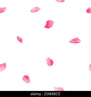 De mignons pétales de rose flottant, de fleurs de cerisier ou de pétales de lotus rose. Illustration numérique aquarelle. Fleurs tombantes parfumées au printemps isolées sur BA blanc Banque D'Images