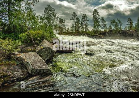 De l'eau vive coulant sur les rochers de la rivière Lillebekken, entourée d'une végétation luxuriante et de pins, sous un ciel nuageux spectaculaire en Norvège. Grane Banque D'Images