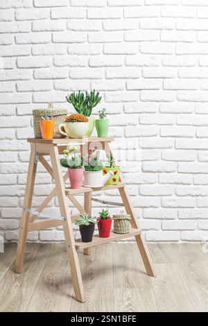 Plantes en pot colorées disposées sur une échelle en bois contre un mur de briques blanches dans un espace intérieur moderne Banque D'Images