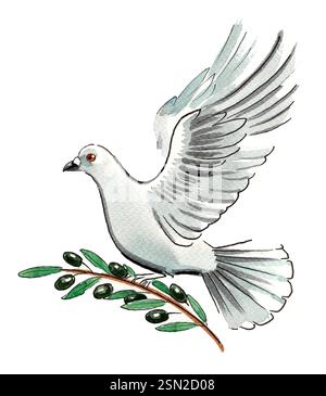 Colombe blanche volante avec branche d'olivier. Illustration d'aquarelle dessinée à la main Banque D'Images