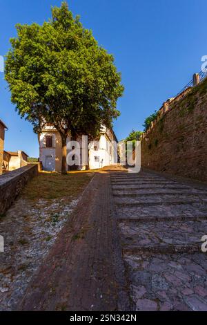 Spoleto, une belle ville ancienne avec un château dominant et un aqueduc dans la province de Pérouse, dans la région de l'Ombrie en Italie. Banque D'Images