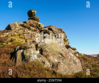 Formations rocheuses Millstone Grit à Ramshaw Rocks en dessous de axe Edge dans le Staffordshire Peak District UK Banque D'Images