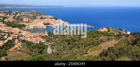 Le port de Collioure et son église sur la côte Vermeille. Banque D'Images