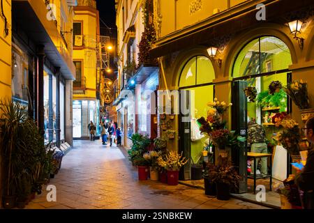 Les touristes et les piétons apprécient les ruelles étroites et les rues de boutiques illuminées dans le centre de Séville, en Espagne. Banque D'Images