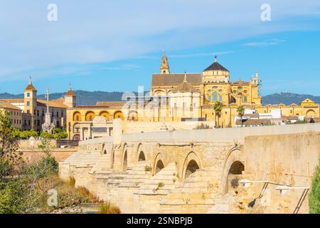 La Grande Mosquée de Cordoue ou Mezquita vue depuis le pont romain le long du fleuve Guadalquivir à Cordoue, en Espagne. Banque D'Images