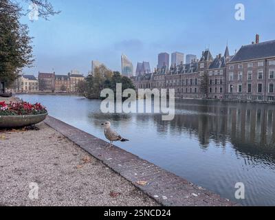 La Haye, pays-Bas le 5 novembre 2024. Le Hovijver à la Haye, le Parlement néerlandais. Banque D'Images