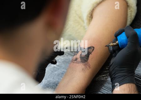Tatoueur professionnel portant des gants noirs à l'aide de la machine de tatouage pour dessiner un tatouage de chat réaliste sur le bras de la jeune femme dans le studio de tatouage moderne Banque D'Images