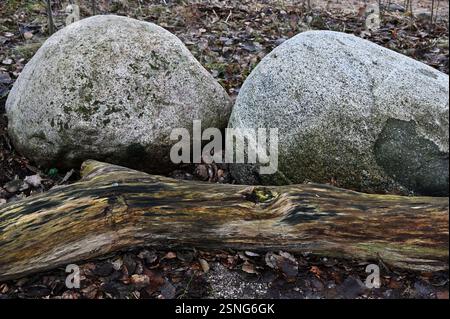 Cette photographie en gros plan capture les textures riches de deux gros rochers reposant côte à côte, leurs surfaces rugueuses marquées par le lichen et les intempéries. Banque D'Images