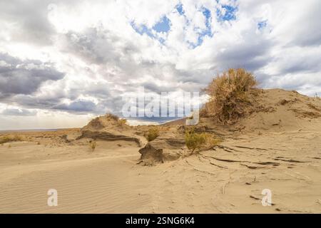 Dunes de sable sculptées par le vent dans la Christmas Valley, Oregon, avec un terrain accidenté, une végétation clairsemée et des nuages orageux spectaculaires au-dessus du ciel. Banque D'Images