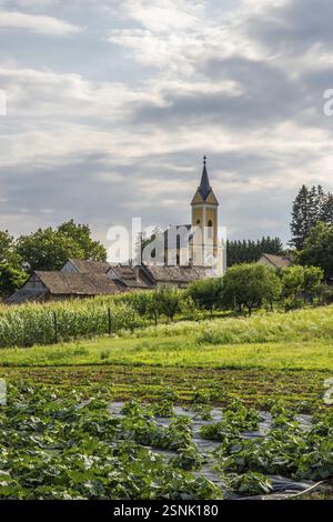 Église dans un paysage, prise dans un village Somogyvamosi Szent Imre templom, Lac Balaton, Hongrie, Europe Banque D'Images