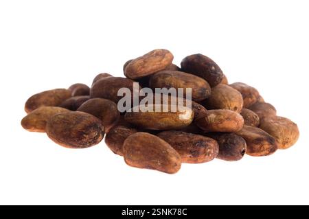 Fèves de cacao isolées sur fond blanc, lodz, pologne Banque D'Images