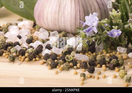 Herbes et épices. ail, rosemat, laurier, poivre, alt, muscade, vanille, cardamone Banque D'Images