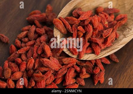 Baies de goji séchées Banque D'Images