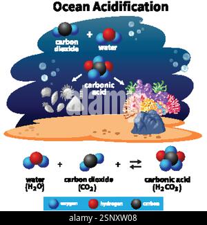 Illustration des réactions chimiques d'acidification des océans Illustration de Vecteur
