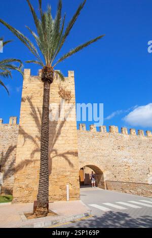 Remparts de la ville médiévale, Alcudia, Majorque, Îles Baléares, Espagne Banque D'Images