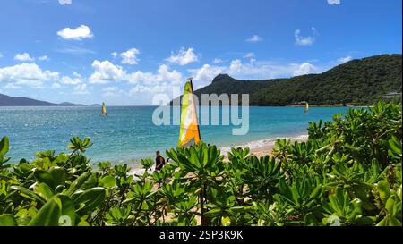 Hamilton Island Reverie : une figure solitaire se tient sur une plage immaculée, contemplant un voilier lointain à l'horizon turquoise. Cette scène paisible évoque Banque D'Images