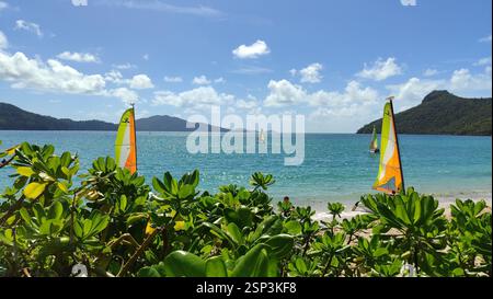 Plage. Les voiliers parsèment l'eau turquoise sous un ciel lumineux. Une végétation luxuriante encadre la scène. Un paradis tropical parfait. Hamilton Island. Cette image évoque Banque D'Images