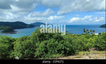 la vue sur une colline déploie des eaux turquoises et des palmiers qui se balancent. Une végétation luxuriante contraste avec l'océan bleu apaisant, créant une offre paradisiaque tropicale Banque D'Images