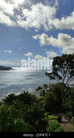 Vue sur l'île tropicale. Colline verdoyante surplombant un océan bleu avec des vagues blanches s'écrasant sur le rivage. Évasion paisible. Une autre façon de décrire le Banque D'Images