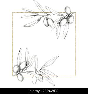 Un clipart dessinant au crayon avec des branches d'olivier disposées en diagonale dans un cadre carré, accentué de contours dorés. Convient pour les étiquettes de produits de beauté, les emballages élégants et les conceptions de menus Banque D'Images