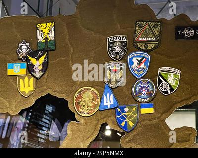 Lviv, Ukraine - 13 février 2025 : plaques militaires ukrainiennes colorées affichées sur un fond de camouflage, symbolisant les thèmes du nationalisme. Banque D'Images