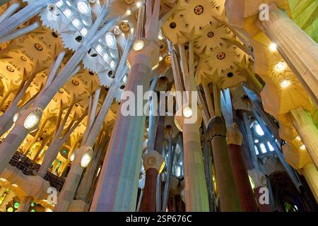 Barcelone Espagne - 22 avril 2024 - lumière qui coule à travers les vitraux dans la Sagrada Familia de Barcelone Banque D'Images