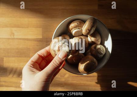 main tenant un petit champignon brun Banque D'Images