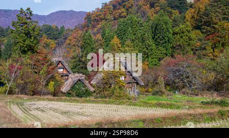 Bâtiments au toit de chaume à Shirakawa-Go, Japon Banque D'Images