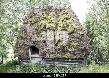 Une cabane traditionnelle avec un toit de chaume, fortement recouverte de mousse, se dresse au milieu d'un feuillage vert dense et luxuriant. Banque D'Images