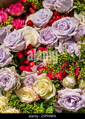 Incroyablement belles roses multicolores. Le meilleur cadeau pour n'importe quelle femme sur n'importe quel jour férié. Banque D'Images
