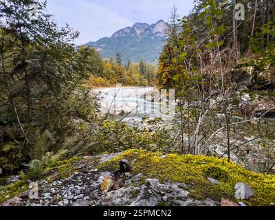 Rivière sinueuse à travers les montagnes canadiennes un jour d'automne Banque D'Images