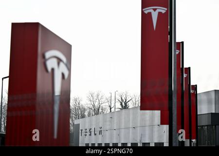 Awans, Belgique. 14 février 2025. Le logo photographié au Tesla Center Liege Awans, à Hognoul, Awans, vendredi 14 février 2025. BELGA PHOTO ERIC LALMAND crédit : Belga News Agency/Alamy Live News Banque D'Images