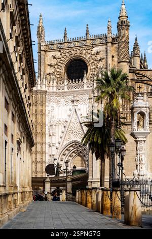 Une vue pittoresque d'une cathédrale historique à l'architecture complexe, avec de hautes flèches et des sculptures en pierre détaillées. Des palmiers bordent le sentier Banque D'Images