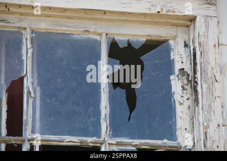 Vue rapprochée d'une vitre cassée où quelque chose a été jeté à travers la fenêtre. Banque D'Images