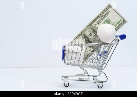 Plan horizontal d'un petit panier avec deux œufs et un billet de cent dollars dans le panier. Banque D'Images